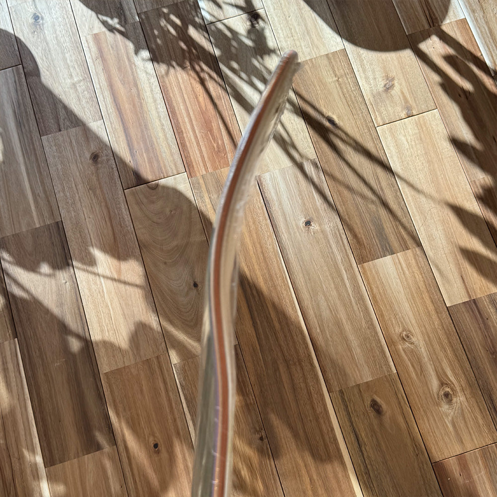 ALIEN WORKSHOP エイリアンワークショップ MIND CONTROL 8.25