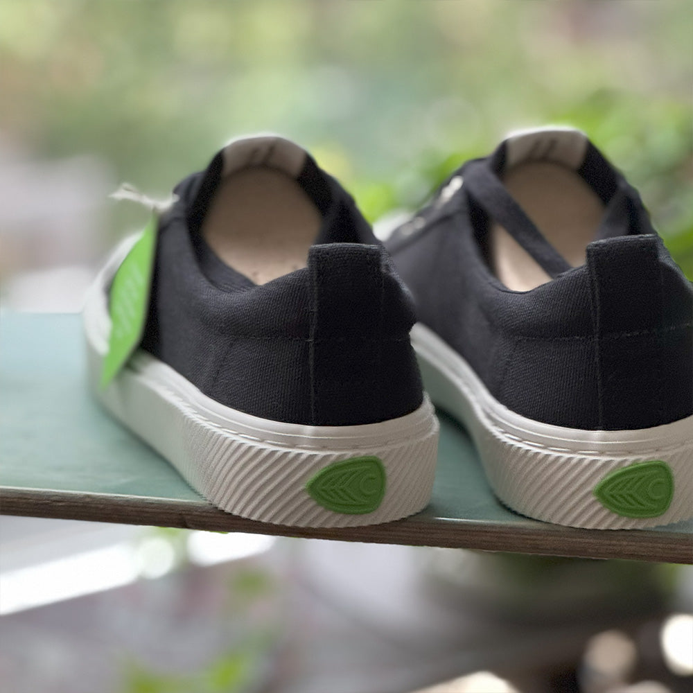 CARIUMA OCA Low Canvas　カリウマ　3 colors